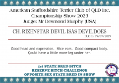 RIZENSTAR_DEVIL_ISAS_DEVILDOES.png